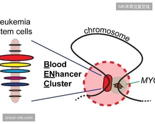 世界杯模块化运营空间如何规避高额临时建设下的资产折旧陷阱